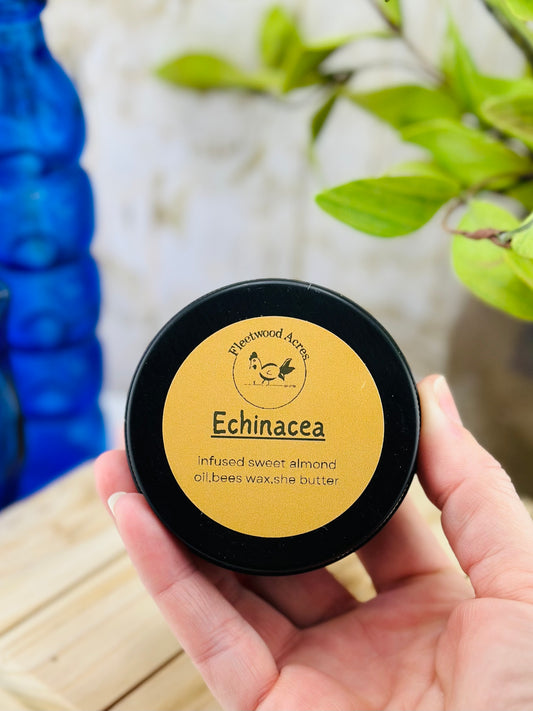 Handmade Herbal Salve 2 ounce Echinacea